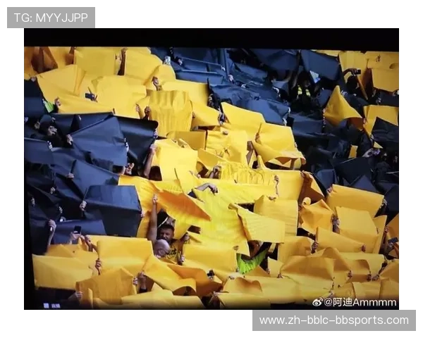 黄黑情感：从多特蒙德球迷文化探寻团结与认同的深层力量