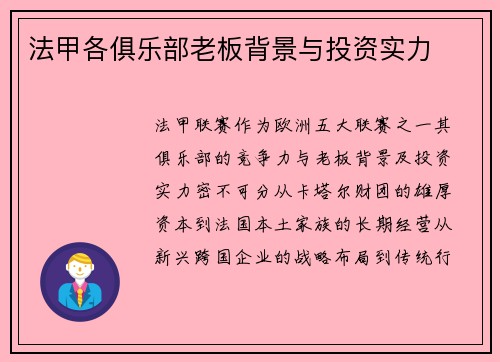 法甲各俱乐部老板背景与投资实力
