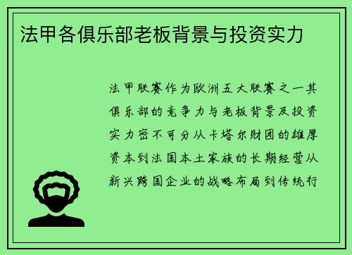 法甲各俱乐部老板背景与投资实力
